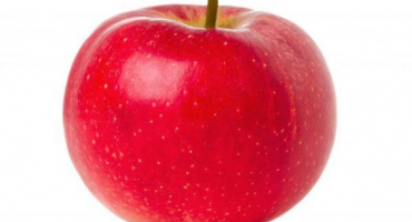 Jabloň vzpomínka na bojovníka - vlastnosti odrůdy